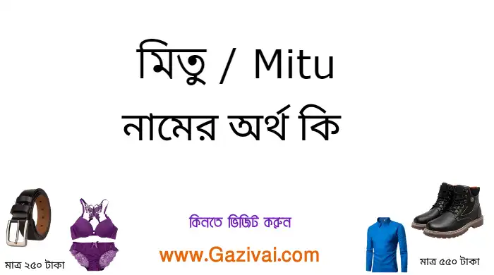 মিতু নামের অর্থ কি