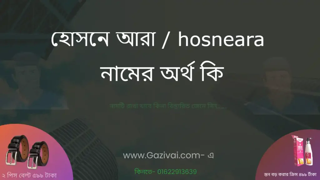 হোসনে আরা নামের অর্থ কি