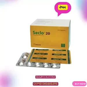 seclo 20 mg এর কাজ কি