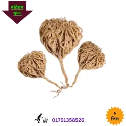 মরিয়ম ফুল খাওয়ার নিয়ম