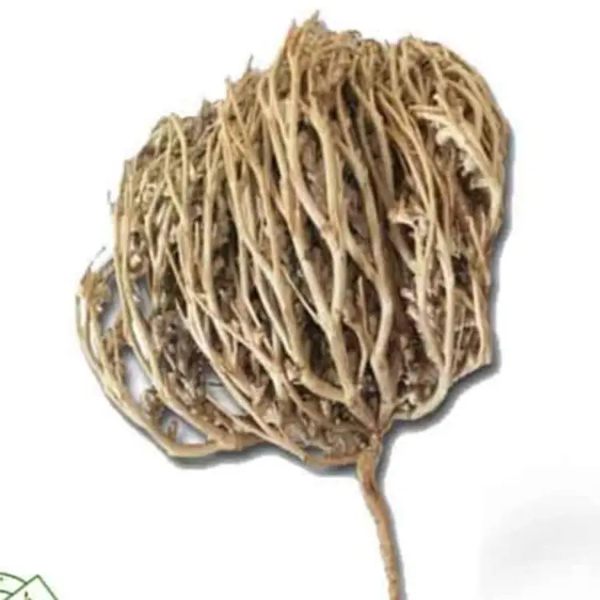 Moriom Flower