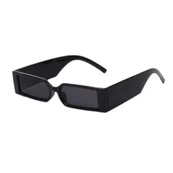 car sunglass holder