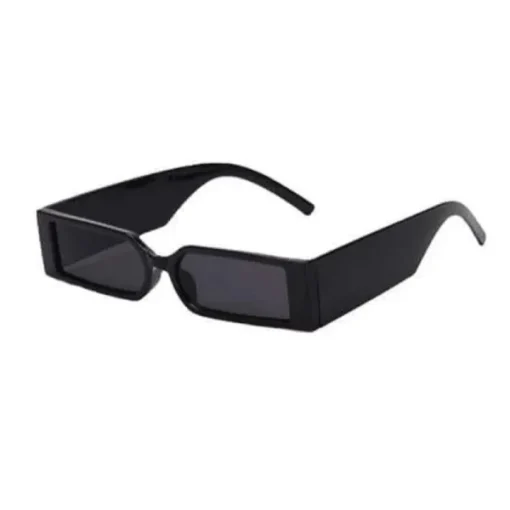 car sunglass holder