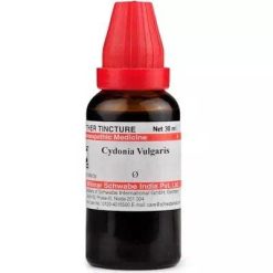 cydonia vulgaris q bangla